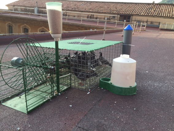 MU2015-ColombaControl-Foto-1