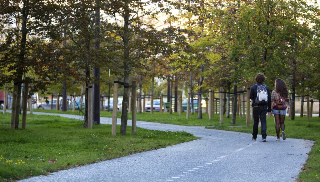 MU2015-RSAsphaltPlus-Foto-1